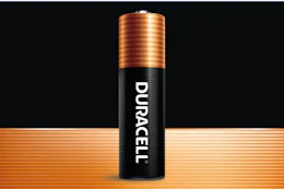 Duracell Coppertop AA Batteries