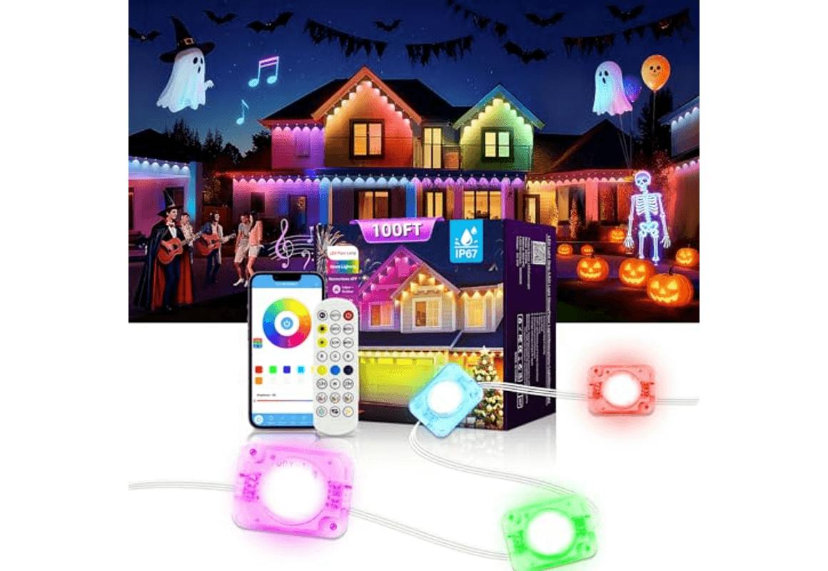 Permanent Outdoor Lights