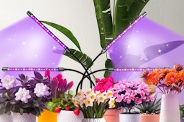 Indoor Plant Grow Lights, Only $14.99 on Amazon card image