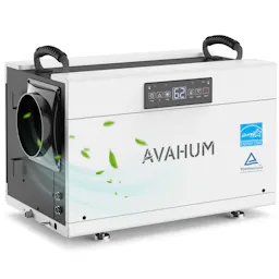 Dehumidifier with Pump