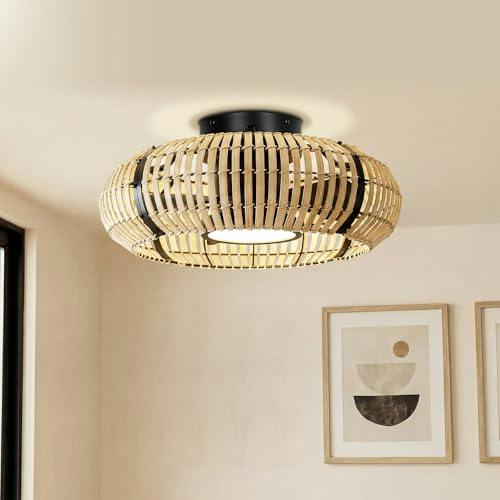 Caged Ceiling Fan with Light