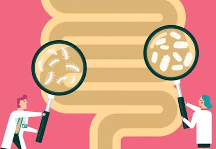 Food Sensitivity Test