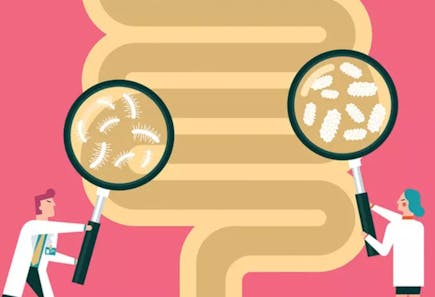 Food Intolerance Test