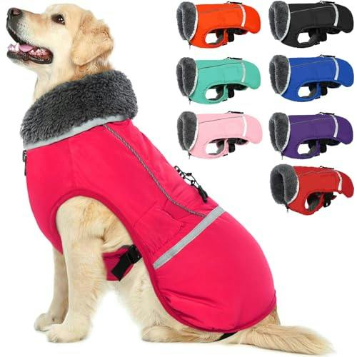Dog Coat