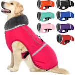 Dog Coat