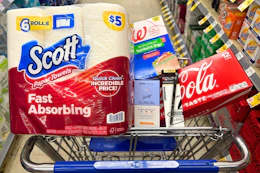 walgreens groceries in shopping cart