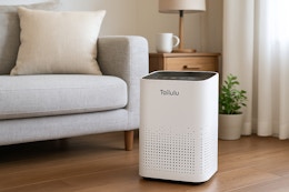 This $100 Large Room Air Purifier Is $39.99 for Prime Members (Save 60%) card image
