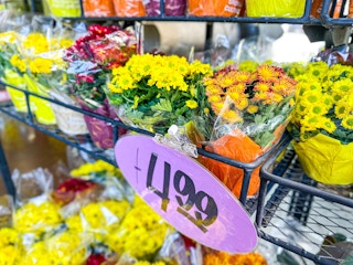 trader-joes-oct-56