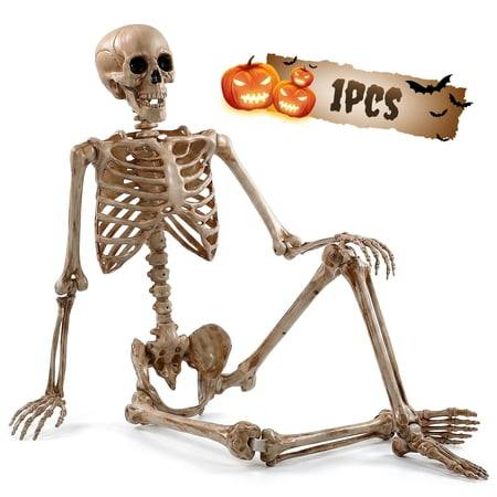 Posable Halloween Skeleton