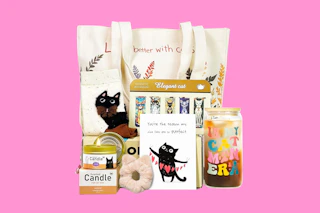 Cat Lover Gift Set B0DZBH5K5M