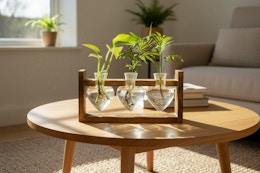 walmart glass heart terrarium