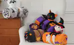 hsn blankets