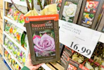 costco-bareroot-roses
