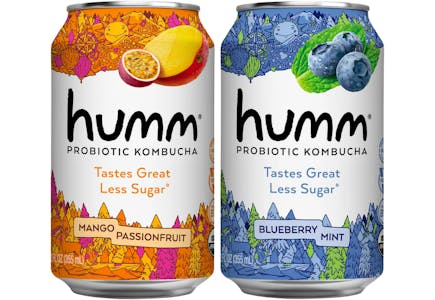 2 Kombucha Drinks