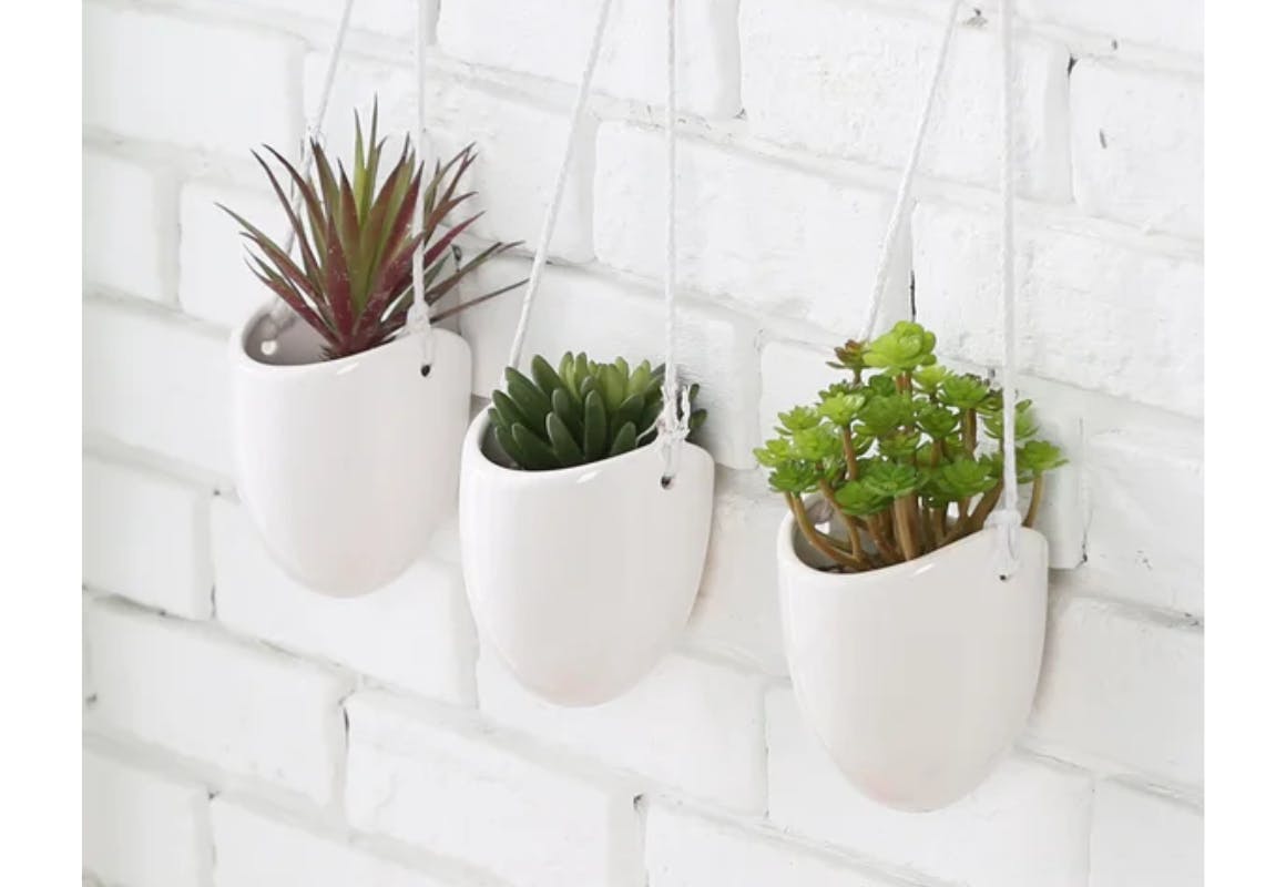 Latitude Run Hanging Planters