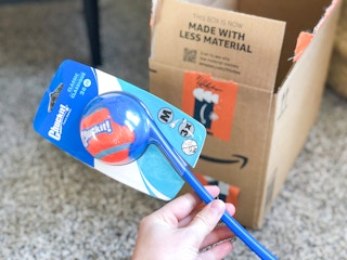 chuckit amazon