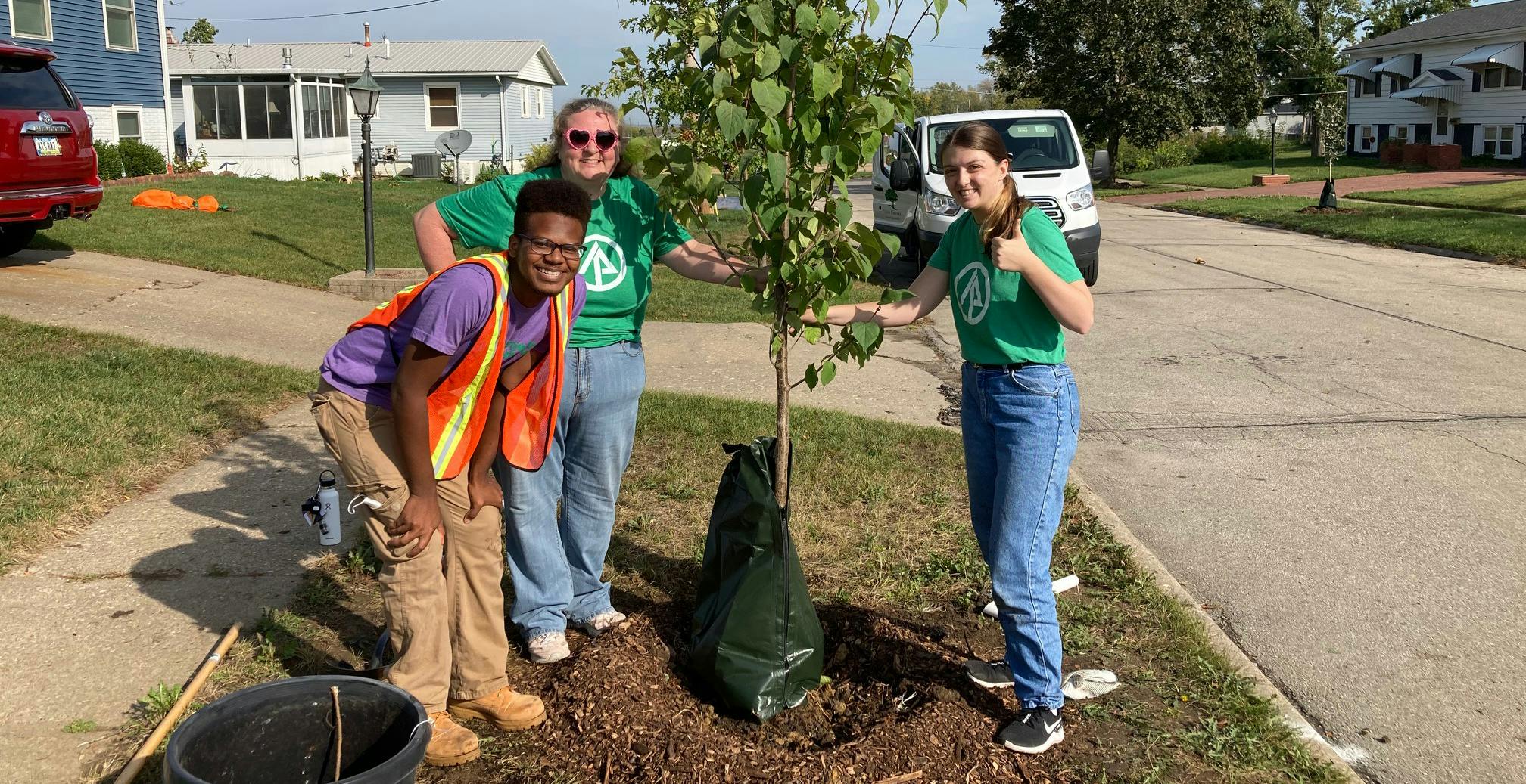 Get 10 Trees for $10 on Arbor Day (or Whenever)