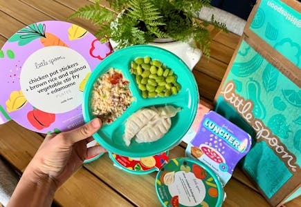 24 Little Spoon Meals (1 Serving Each)