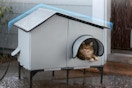 Cat using the Txunocy Heated Outdoor Cat House outside.
