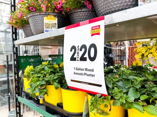 1-Gallon Mixed Annuals Planters, as Low as $10 Each at Lowe's card image