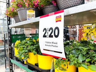 lowes annual planters