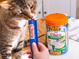 Churu Cat Treats: Get 100 for as Low as $46 With Amazon Promotion (Reg. $80) card image