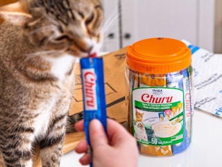 inaba churu