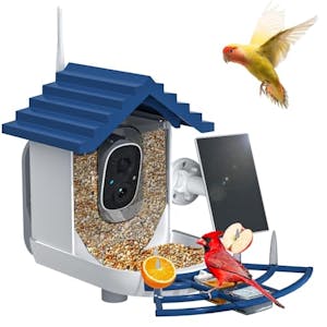 Smart Bird Feeder With Camera