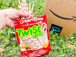 DreamBone Twist Sticks: Get 2 Bags for $12.76 on Amazon (Reg. $15 Each) card image