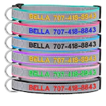 Reflective Personalized Dog Collar