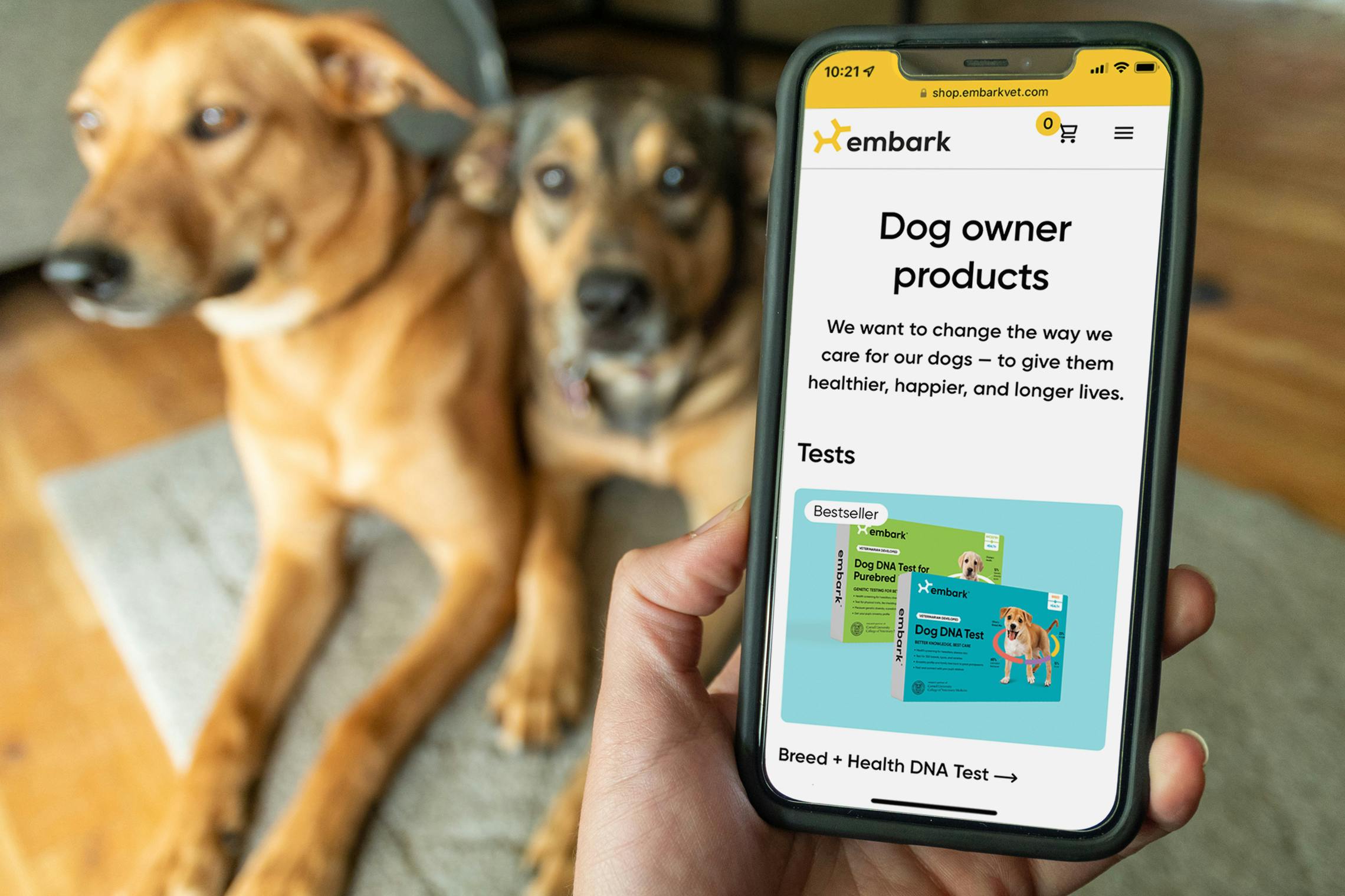 6 Best Dog DNA Kits To Discover Your Pet's Ancestry