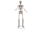 Place & Time Skeleton