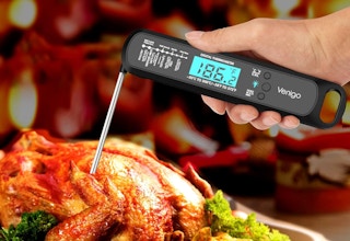 a meat thermometer in a turkey