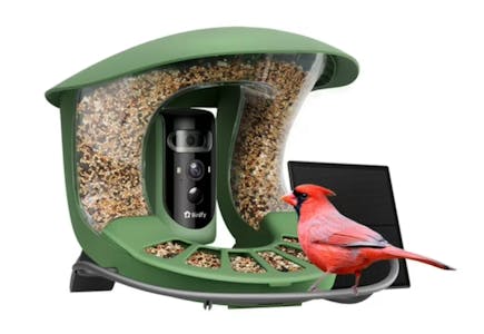 Birdfy Bird Feeder With Camera