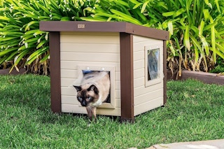 a cat walking out of a small outdoor cat house