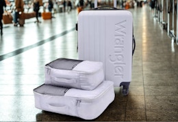lavendar luggage set