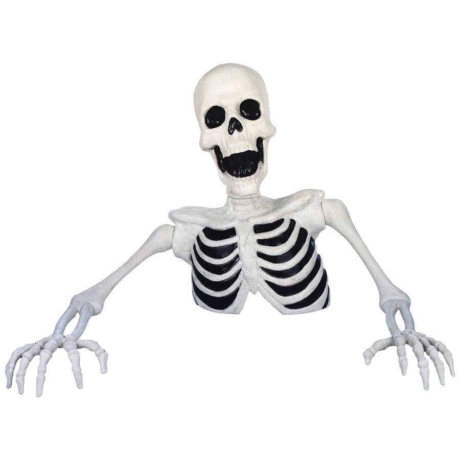 Groundbreaker Skeleton