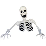 Groundbreaker Skeleton