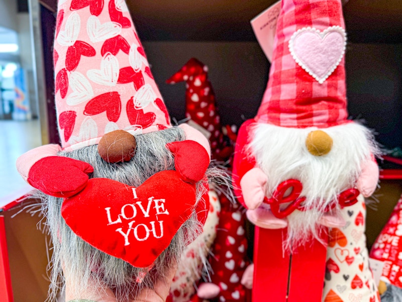 aldi-huntington-home-valentines-day-gnome