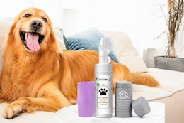 Pet Paw Care Kit, Only $5 on Amazon card image