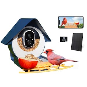 Smart Bird Feeder with Camera