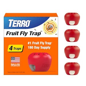 Fruit Fly Traps 4-Pack