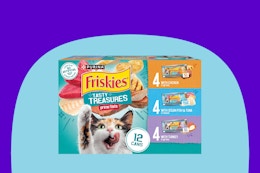 Purina Friskies Wet Cat Food Packs, as Low as $6.24 on Amazon card image