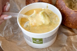 a cup of soup at panera bread