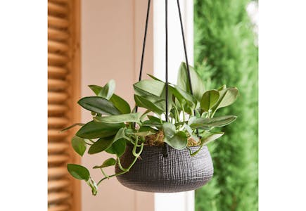 Better Homes & Gardens Hanging Planter