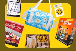 Dollar General Penny List: Calendars, Socks, and Seasonal Finds, Only $0.01 card image