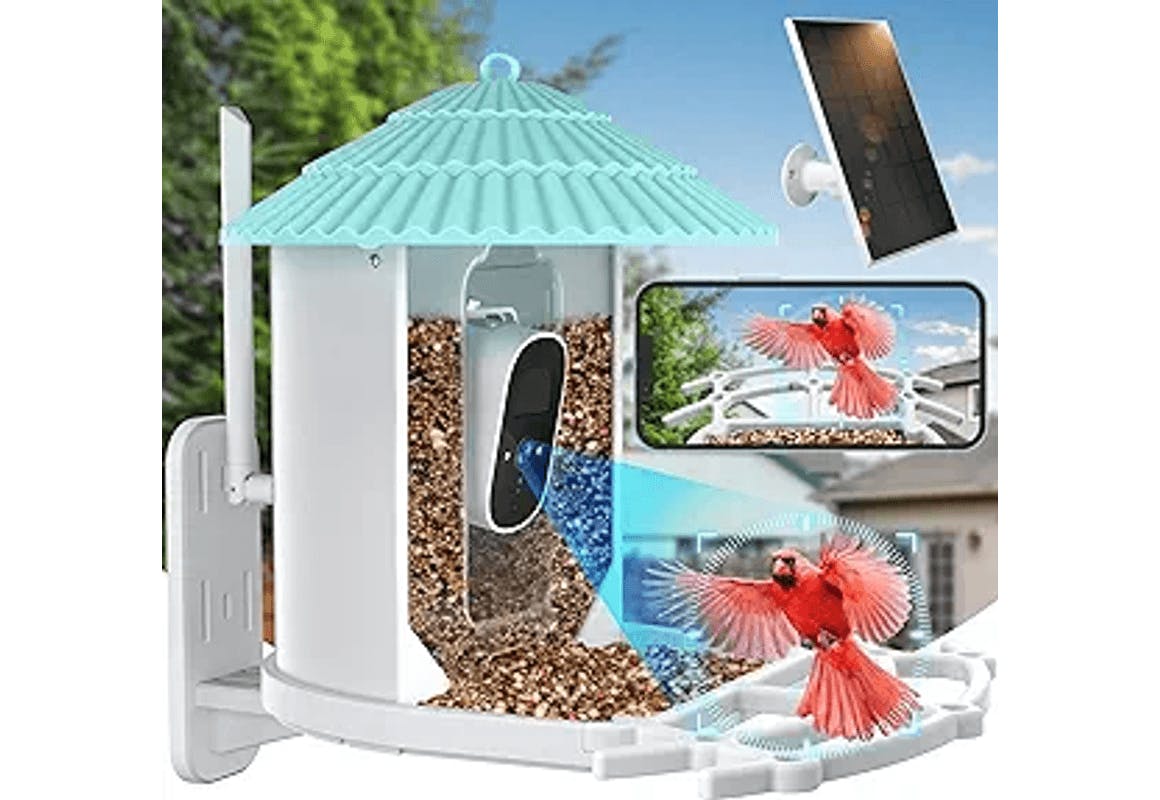 Smart Bird Feeder with Camera