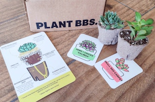 Succulent Studios Box