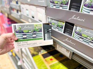 aldi solar garden bed light