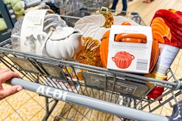 aldi-fall-finds-pumpkin-dish-platter-throw